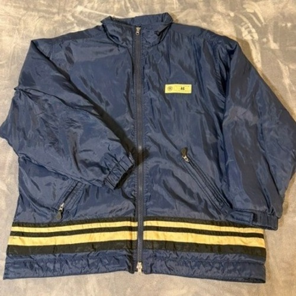 American Eagle Outfitters Jacket Mens XL Blue Nylon Sherpa Lined Striped Zip Y2K
